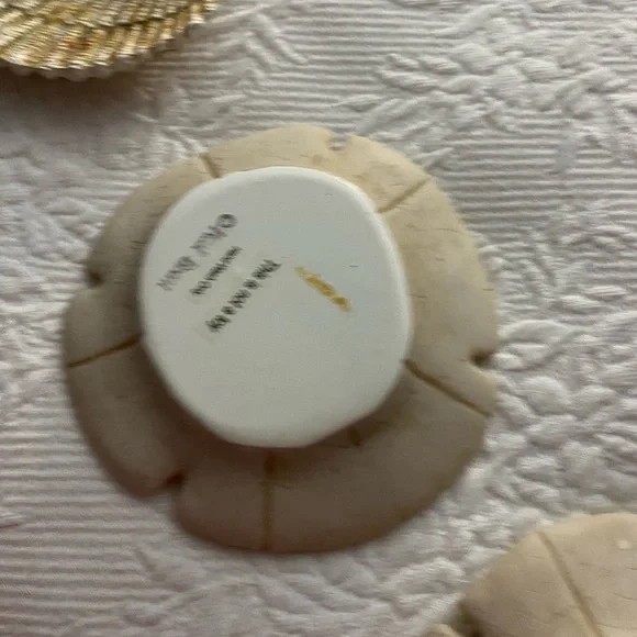 Sand Dollars  and shell Decor Set - Picture 4 of 11